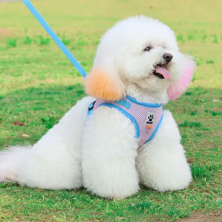 宠物胸背透气舒适拼色猫咪胸背外出牵引散步遛狗狗狗牵小狗背心式