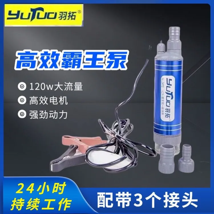 羽拓抽油泵电动大功率24v柴油抽子抽水泵小型霸王泵12v油泵抽油