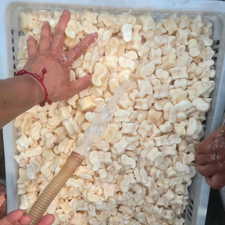 嘎啦哈批发供货真羊拐骨解压玩具嘎啦哈旮旯哈羊骨头子货源稳定