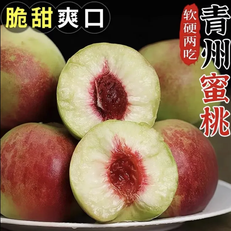 山东正宗现摘青州蜜桃新鲜毛桃冬桃蜜桃皮薄甜脆甜多汁3/4.5斤