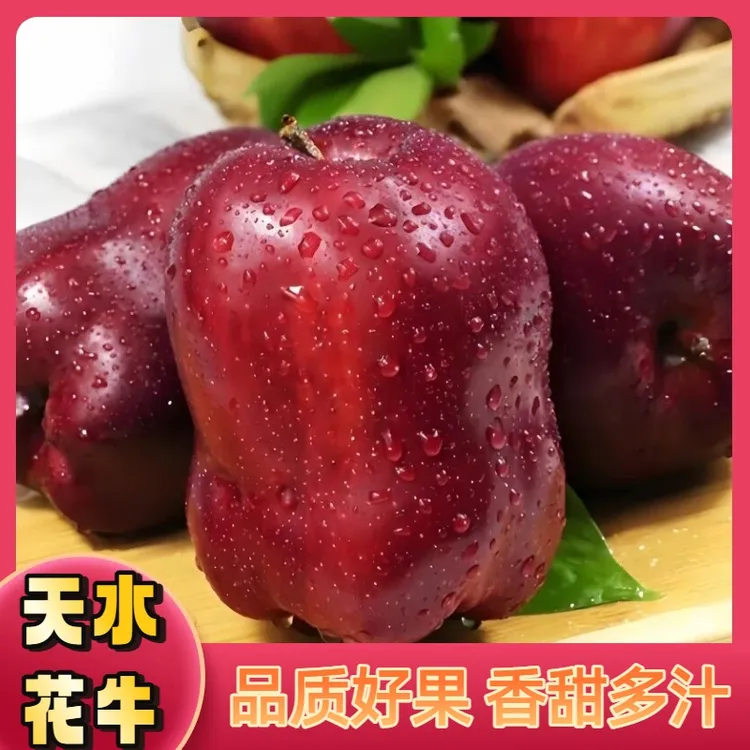 【坏果包赔】正宗天水花牛苹果新鲜现摘鲜甜水果脆甜爆汁苹果5斤装