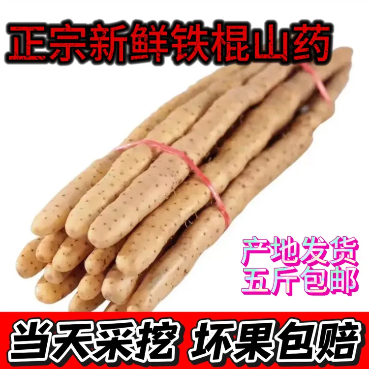 正宗蠡县铁棍山药新鲜现挖滋补火锅食材软糯甘面精选大果五斤装