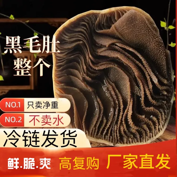 4斤正宗牛毛肚大块整个百叶新鲜大叶重庆火锅毛血旺 固形物含量95