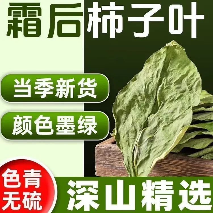 柿子叶茶新鲜500g官方正品柿树叶新货霜降后柿子叶泡茶泡水喝