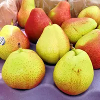 《小军严选》彩啤梨新鲜多汁（软后食用）顺丰包邮山东省
