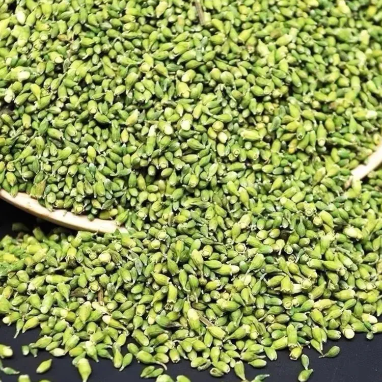 云南核心产区珠子参蕊益身百搭茶珠子参蕊茶