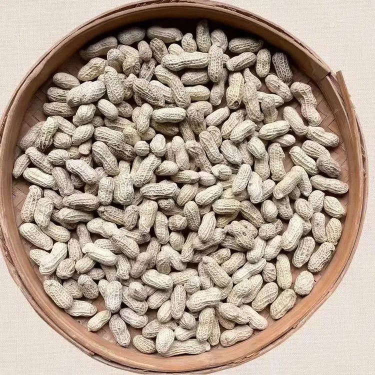 D农家熟花生白皮。红泥花生
