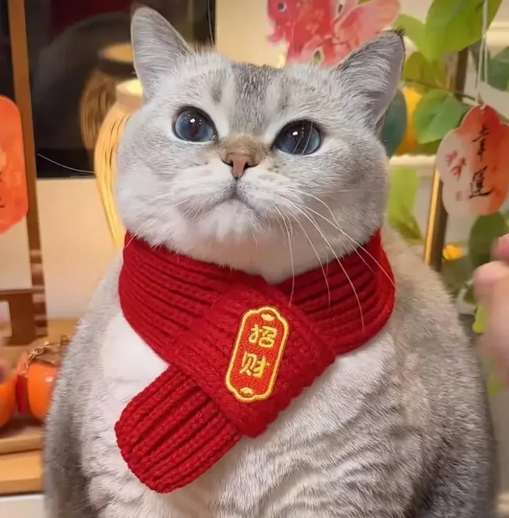 冬天宠物围巾小狗圣诞新年配饰宠物用品冬季保暖红色猫咪毛绒围脖