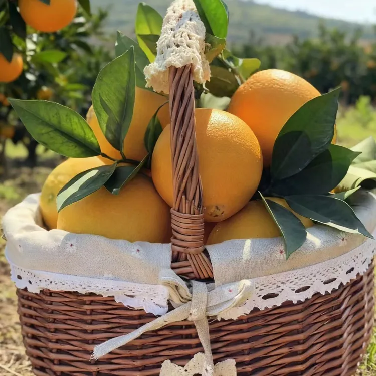 【新商福利】赣南寻乌脐橙新鲜应季水果多汁清甜整箱包邮坏果包赔