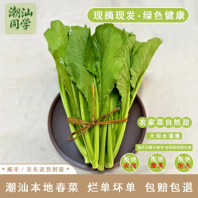 矮脚春菜（5斤）（零农残干水发货。）放心食品保鲜保存新鲜蔬菜农家菜
