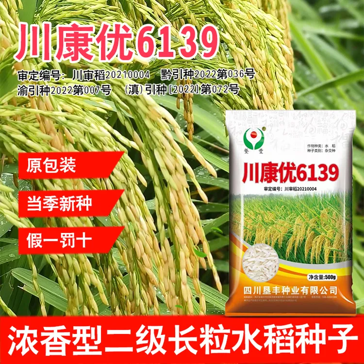 长粒米川康优6139杂交水稻种子国标二级米原厂包装