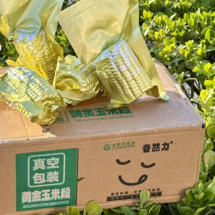 新疆黄金玉米段8公分产地直发10支整箱包邮单支150g以上糯玉米