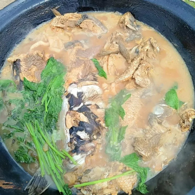 松花湖胖头鱼 活鱼速冻顺丰锁鲜发货