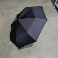 W35 纪念自动雨伞