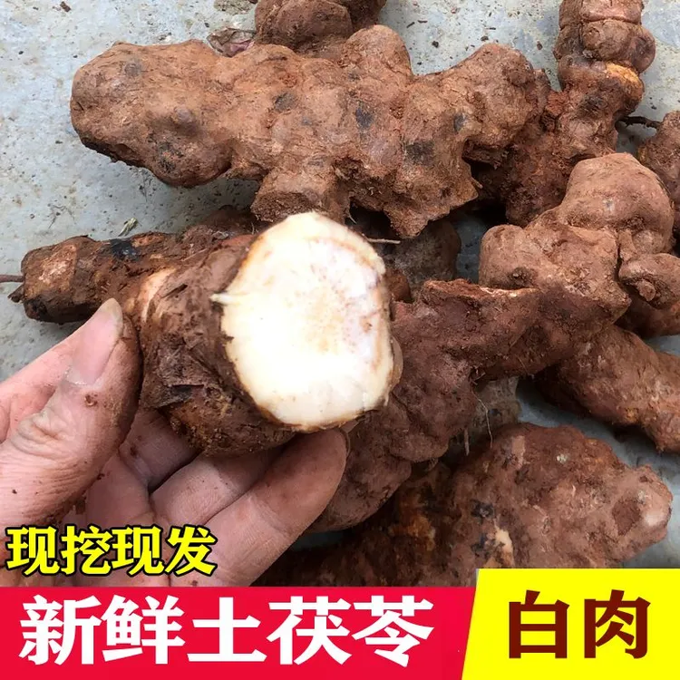 正宗新鲜土茯苓硬饭头现挖粉质白肉土茯苓