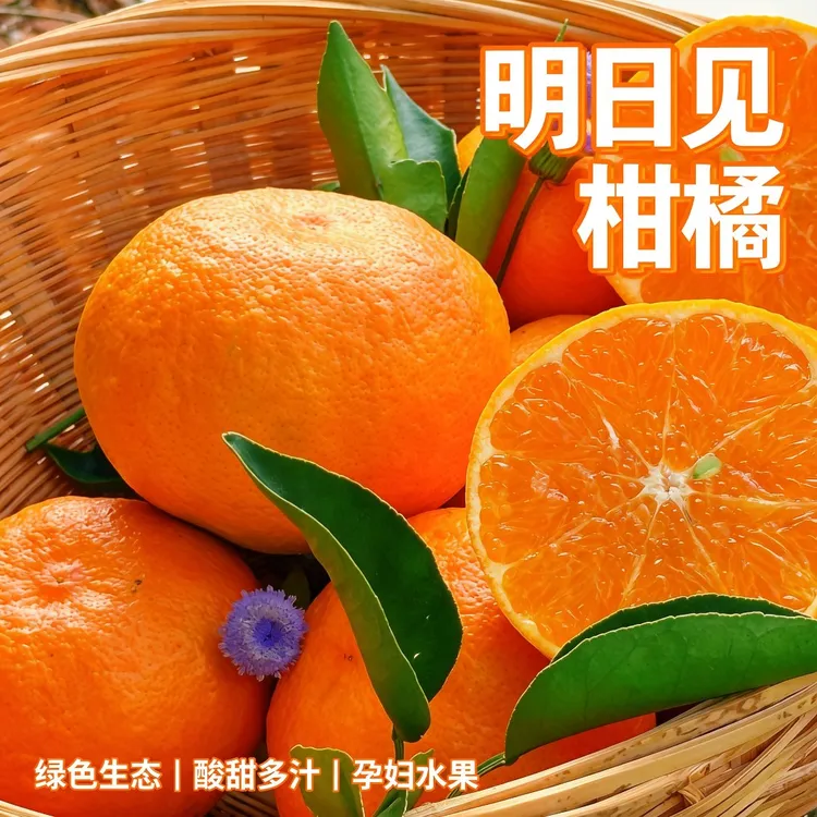 【产地直发包邮】云南明日见柑橘皇后耙耙柑升级版绿色生态孕妇水果