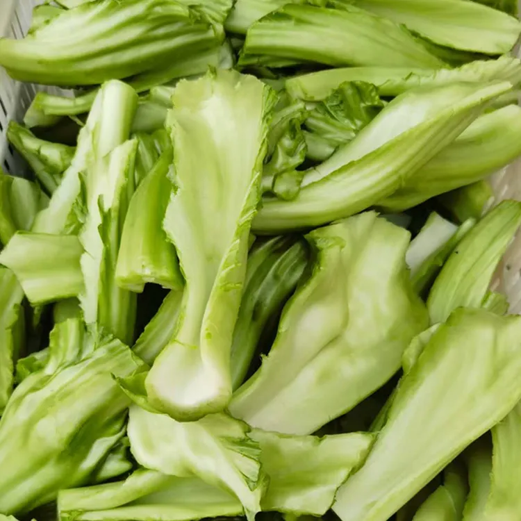 四川奶奶菜杆新鲜青菜块泡酸菜原料无茎青菜适合餐饮