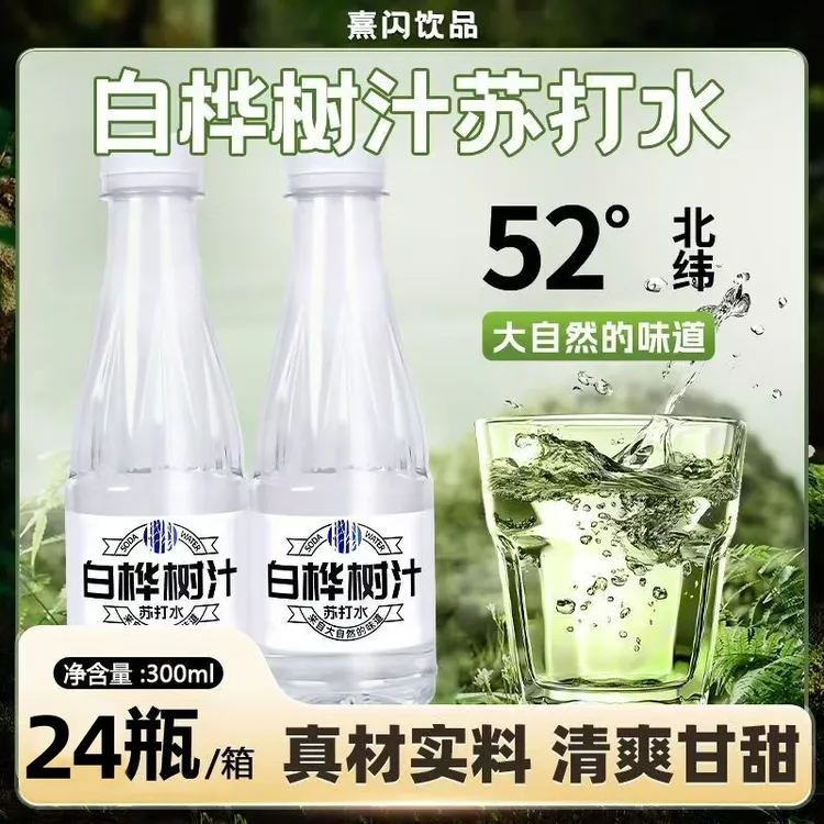 【买一箱送一箱】白桦树汁苏打天然水饮料网红饮品300ml*24瓶特价