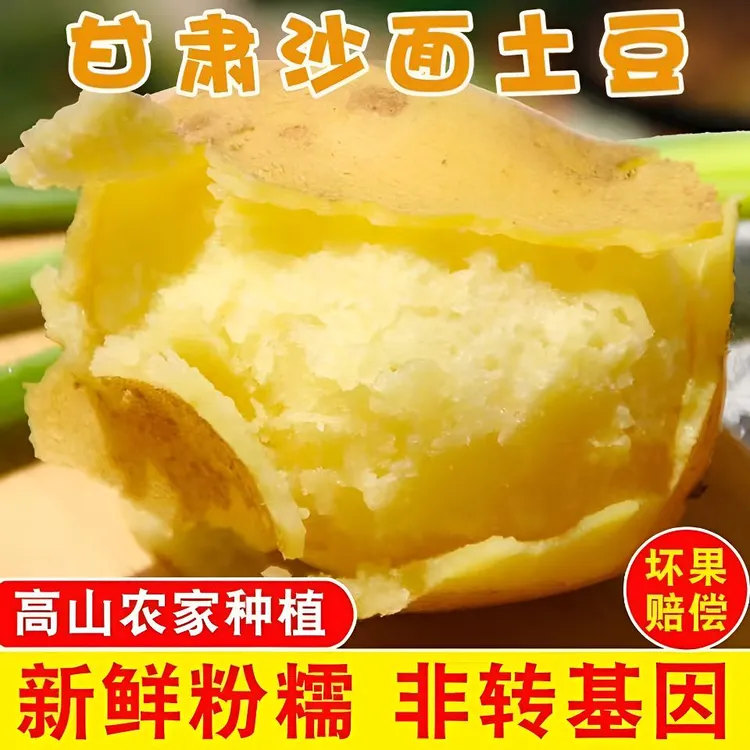甘肃定西马铃薯老品种土豆粗皮黄心粉糯沙面土豆洋芋现挖现发土豆