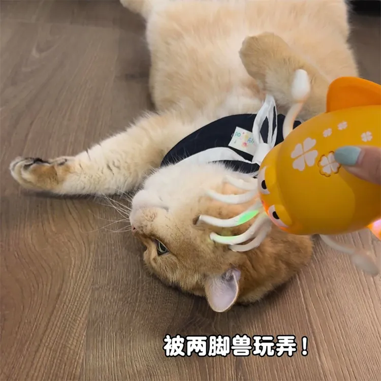 宠物小猫咪魔性跳舞章鱼玩具自嗨八爪鱼鱿鱼解闷自动避障电动玩具