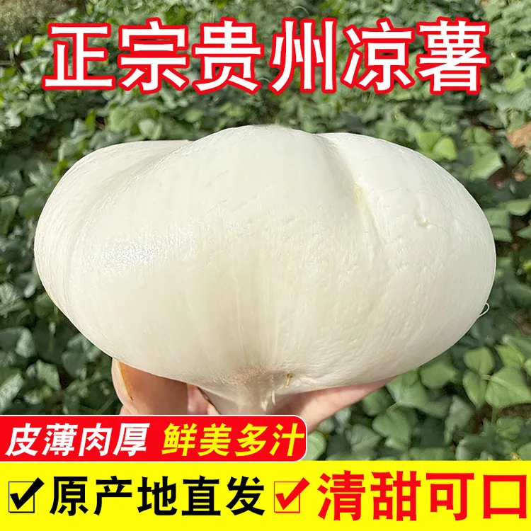 贵州地萝卜凉薯应季水果凉薯脆甜多汁皮薄肉厚新鲜现挖现发地瓜