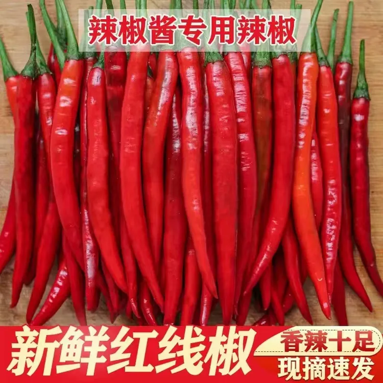 现摘辣椒新鲜红二荆条新鲜剁椒红辣椒农家自种辣椒酱辣椒