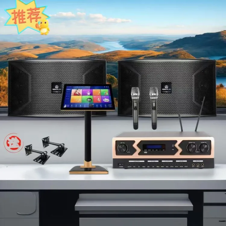 家庭KTV音响套装10寸全套卡拉ok话筒蓝牙效果器舞蹈室专业音箱