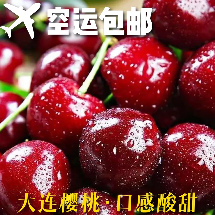 5 斤空运包邮大连美早沙蜜托大樱桃新鲜水果非车厘子当季孕妇现发