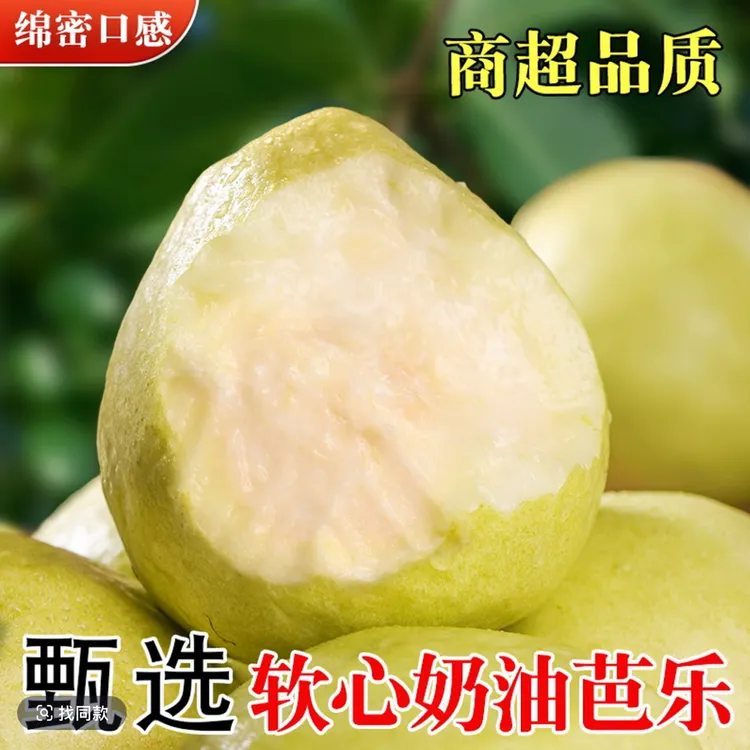 20年老树精品清甜漳州奶油芭乐软糯白心番石榴新鲜采摘水果送梅粉