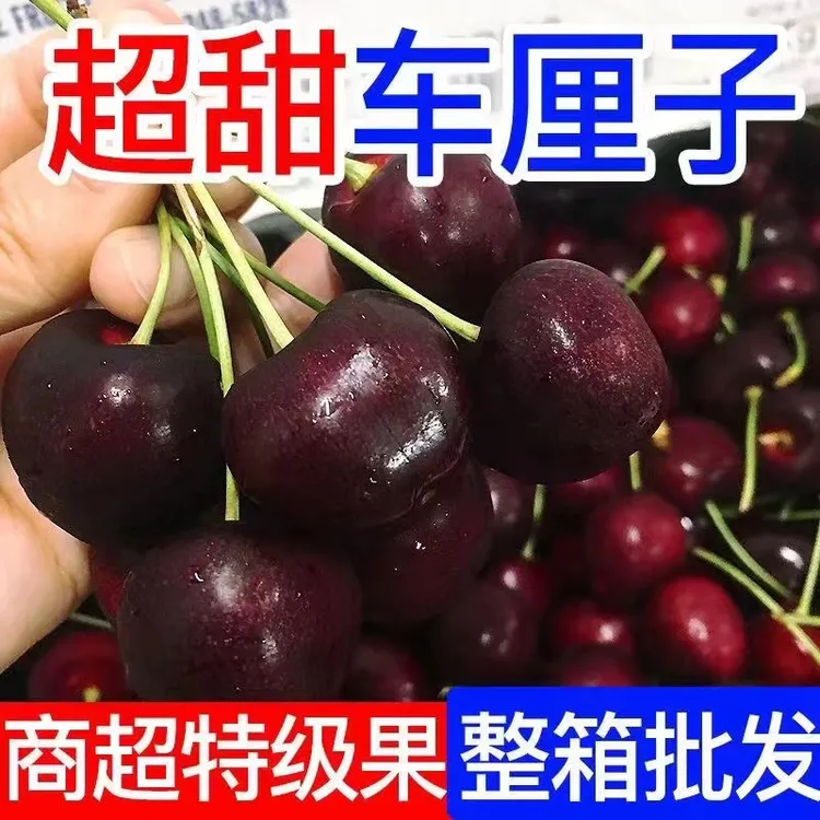 【现货】智利空运车厘子1-4J新鲜水果樱桃水果大礼盒装内附果径卡