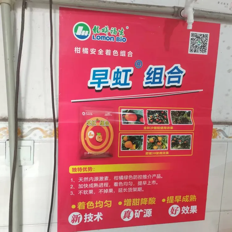 福生龙蟒早虹组合