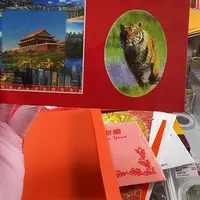 其他普通金属虎年纪念章