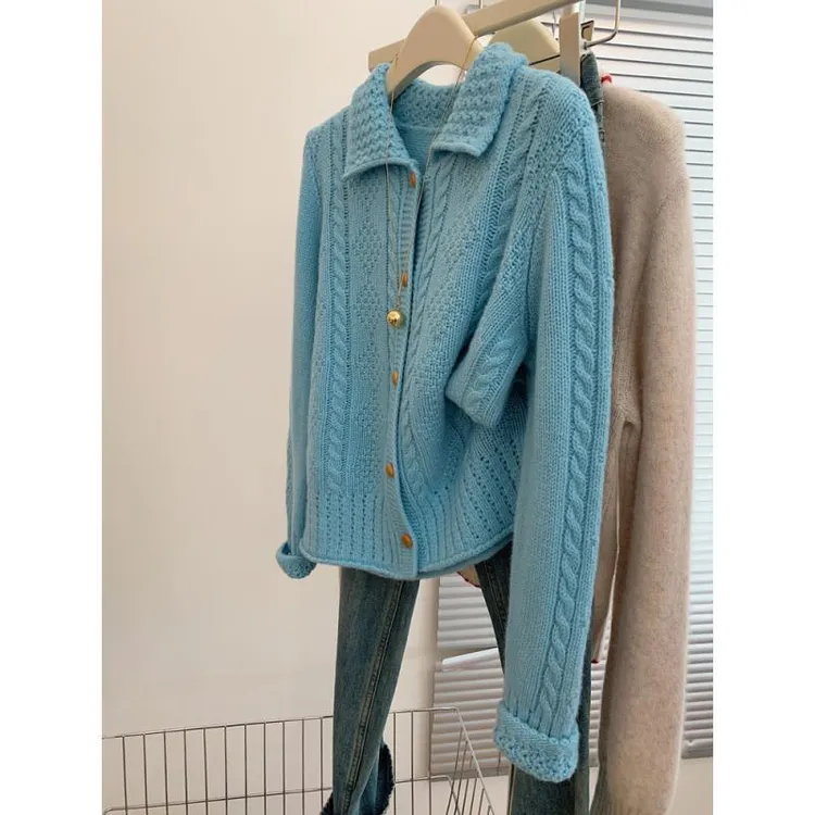 2025韩系蓝色镂空翻领长袖针织麻花毛衣开衫外套女士质感初秋上衣