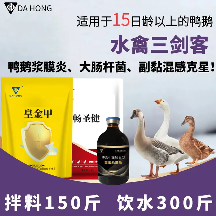 鸭鹅浆膜炎大肠杆菌混感软脚瘸腿打蔫扭脖转圈后仰精神差蹲伏不动
