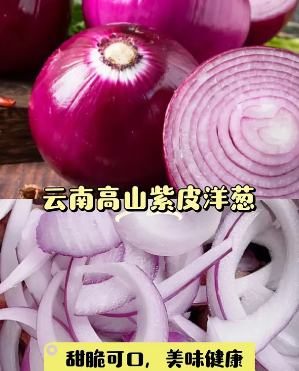 云南紫皮洋葱农村自种