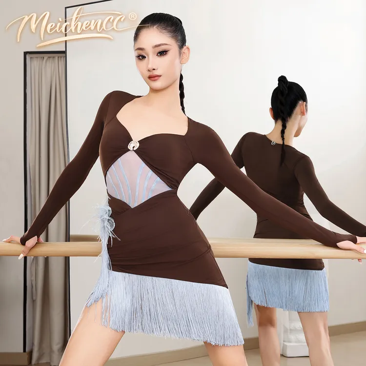 美辰服长袖镂空网纱流苏欧美连衣裙高级感拉丁舞秋冬拉丁舞服装