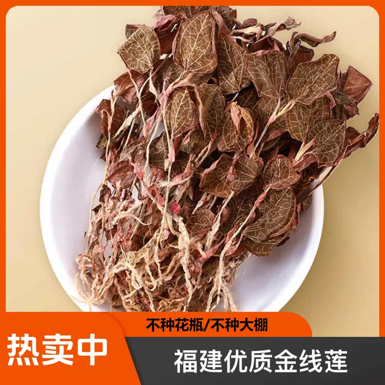 福建南靖正宗红霞金线莲干品食用农产品金线莲干货金线莲茶盒子装