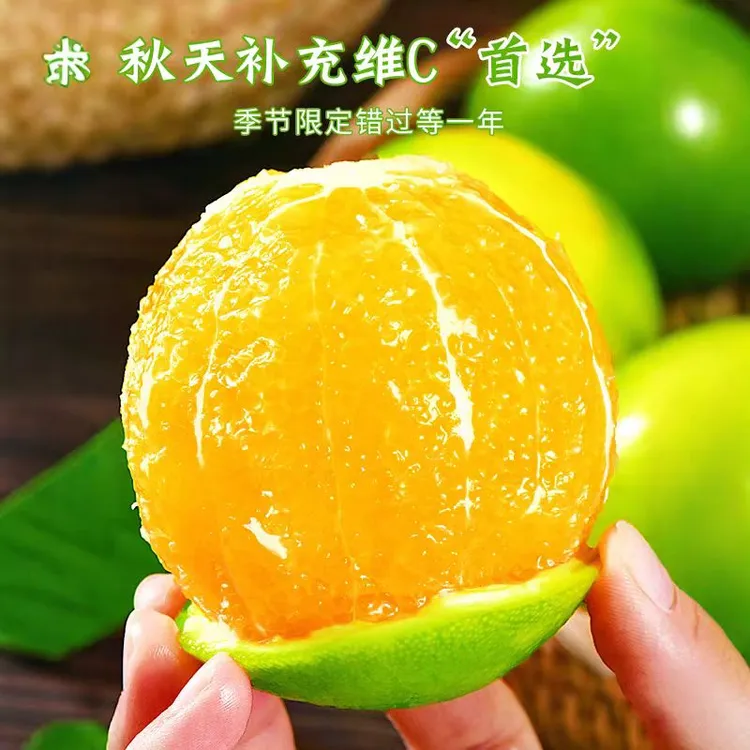 云南哀牢山青皮冰糖橙新鲜应季水果新鲜现摘现发清甜爆汁