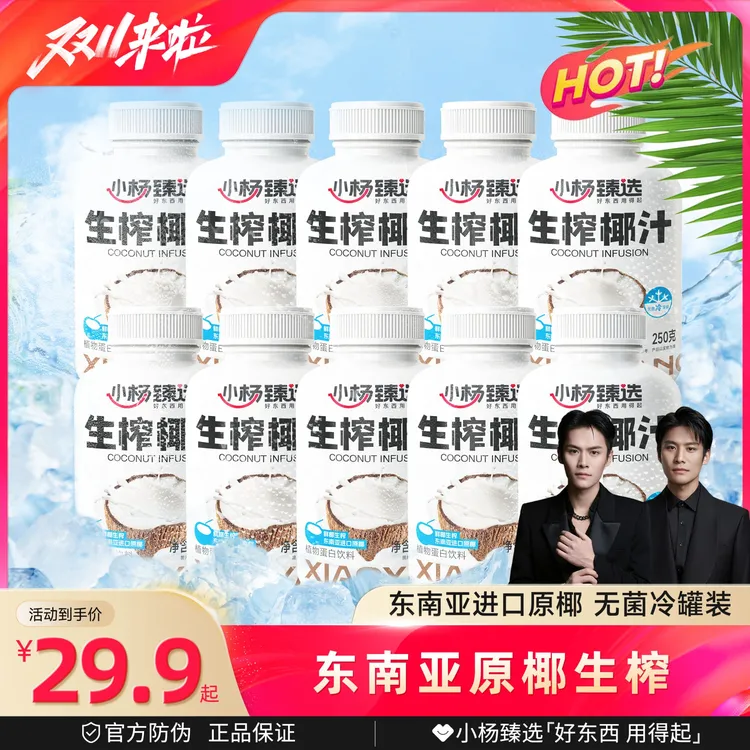 小杨臻选生榨椰汁 植物蛋白饮料  250g*10瓶  即饮生椰 整箱装