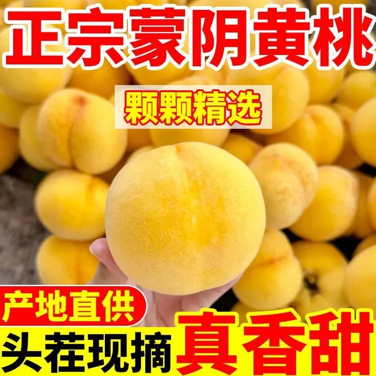 山东正宗蒙阴黄桃黄毛桃黄锦绣桃子脆甜多汁整箱产地直发