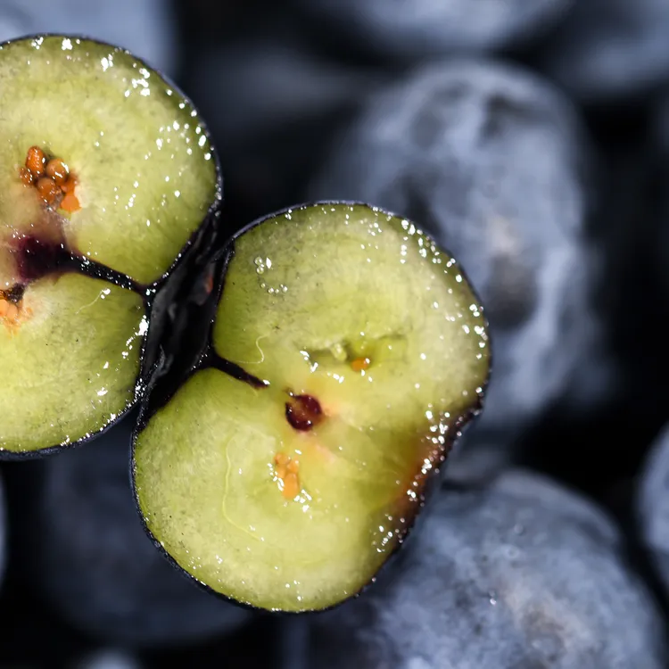 S森叔源选 当季限定秘鲁进口雪山山脉蓝莓60g/盒【顺丰包邮】