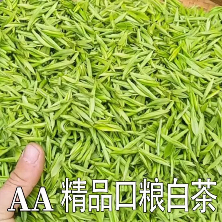 2025新茶【精品口粮白茶】春茶二芽高山白茶兰花香正宗绿茶自己喝