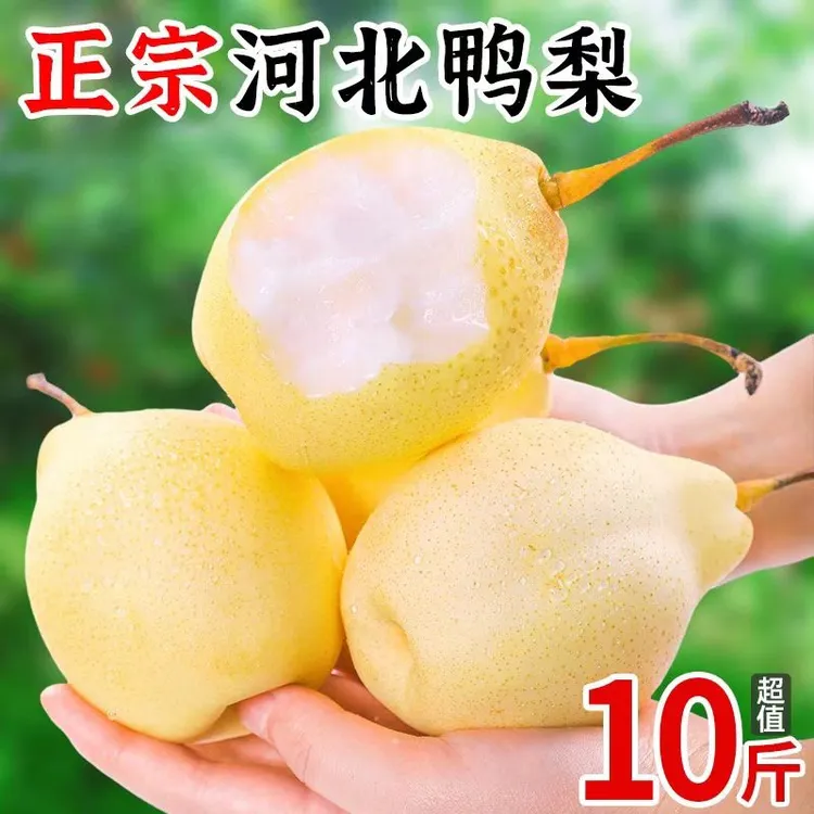 河北鸭生鲜农副产品低糖水果皮薄肉厚酸甜可口产地直发