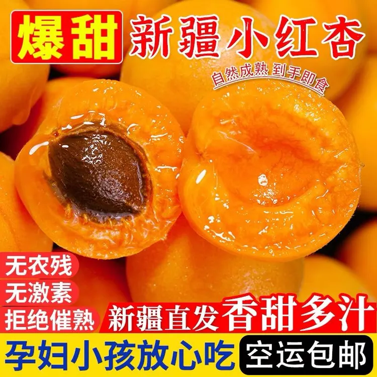 【京东空运】新疆伊犁正宗小红杏中大果新鲜果园采摘孕妇水果