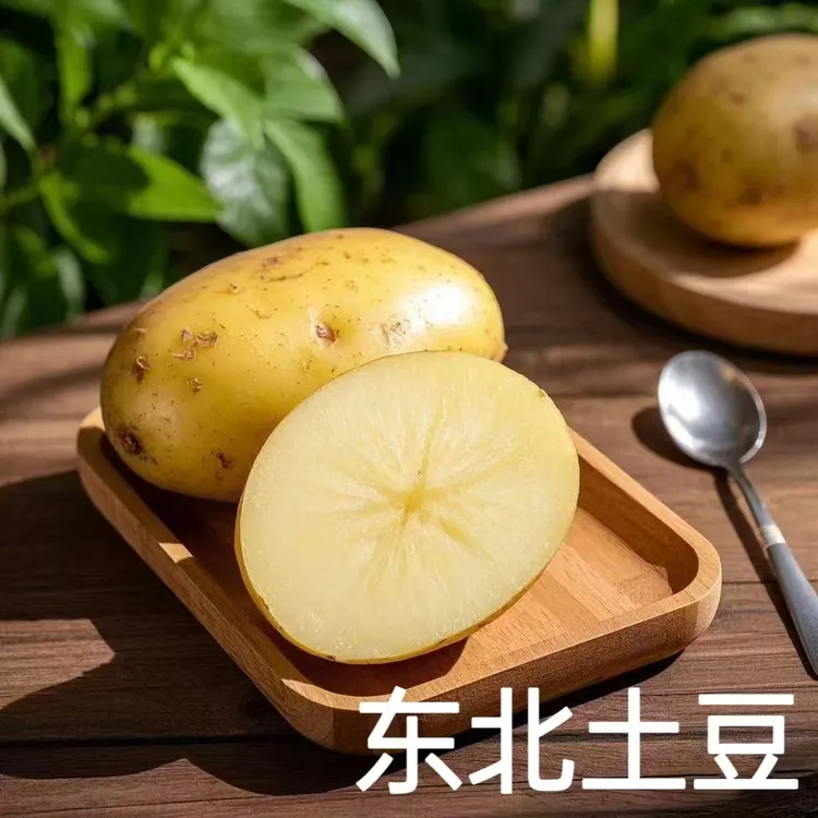 农家新鲜黄心土豆
