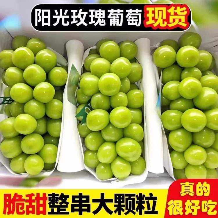 【顺丰速运】现摘5斤阳光玫瑰葡萄脆甜新鲜现发果园直发晴王甜葡萄