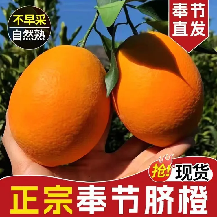 正宗重庆奉节脐橙10斤纽荷尔橙子薄皮现摘现发礼盒装产地直发整箱