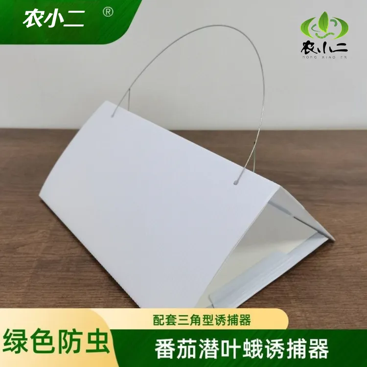 番茄潜叶蛾诱捕器信息素诱芯性诱剂昆虫诱捕器引诱剂农业种植专用