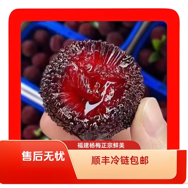 正宗福建浮宫杨梅非仙居杨梅新鲜水果孕妇送礼农家包邮现摘现发