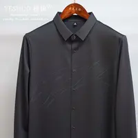轻奢商务男士衬衫长袖纯色秋季爸爸衬衣男无痕休闲高档男装免烫
